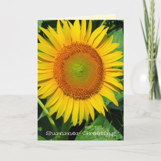 ひまわり：グリーティングカード カード (正面)