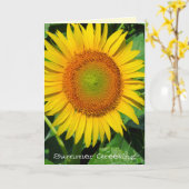 ひまわり：グリーティングカード カード (黄色い花)