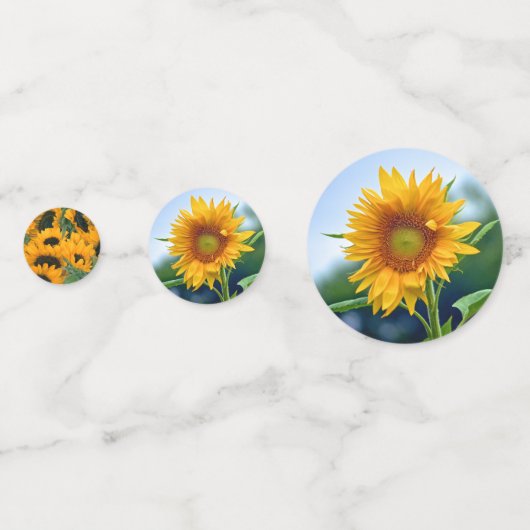 ひまわり コンフェッティ (裏面)