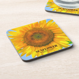 ひまわり コースター