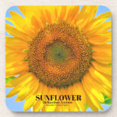 ひまわり コースター (正面)