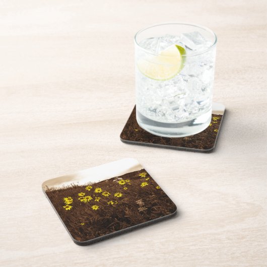 ひまわり コースター (右側)