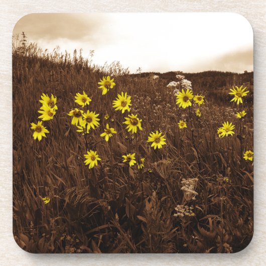 ひまわり コースター (正面)