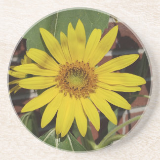 ひまわり コースター