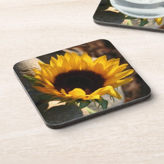 ひまわり コースター (左側)