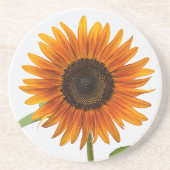 ひまわり コースター (正面)