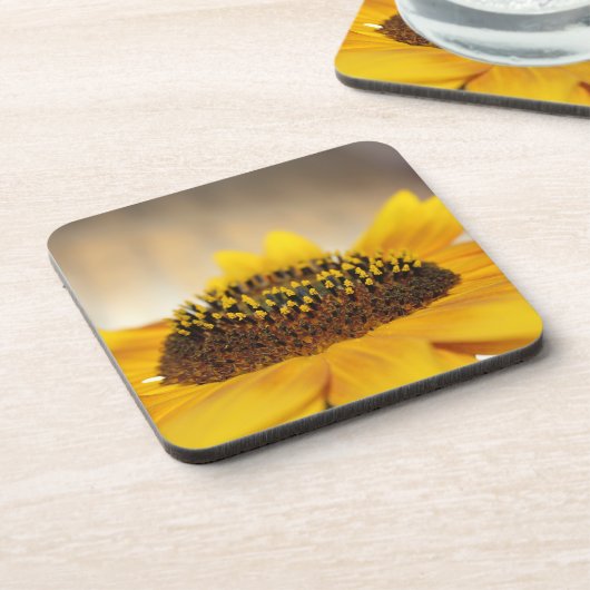 ひまわり コースター (左側)