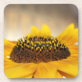 ひまわり コースター (正面)