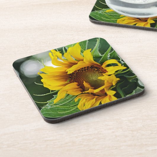 ひまわり コースター (左側)