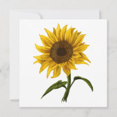 ひまわり サンシャイン フラワーズ ウォーターカラー 花 招待状 (裏面)