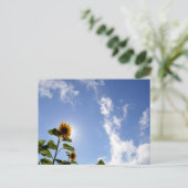 ひまわり&サンシャイン ポストカード (スタンド正面)