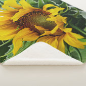 ひまわり シェルパブランケット (3/4)