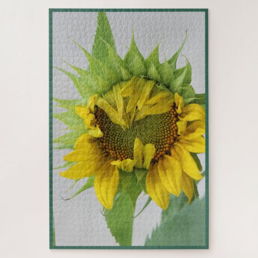 ひまわり「シャイ」パズル ジグソーパズル (縦)