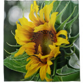 ひまわり シャワーカーテン (正面)