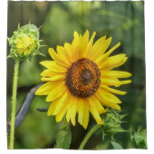 ひまわり シャワーカーテン (正面)