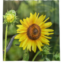 ひまわり シャワーカーテン