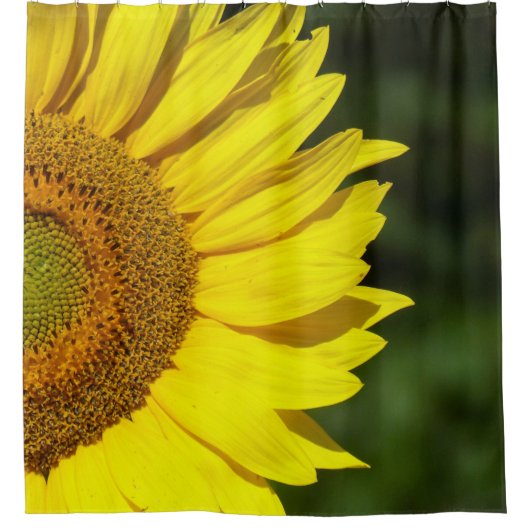 ひまわり シャワーカーテン (正面)