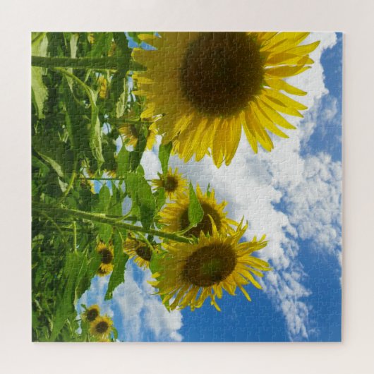 ひまわり ジグソーパズル (横)