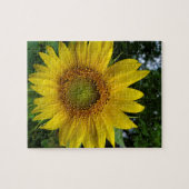 ひまわり ジグソーパズル (横)