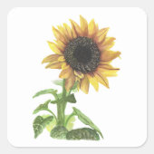 ひまわり スクエアシール (正面)