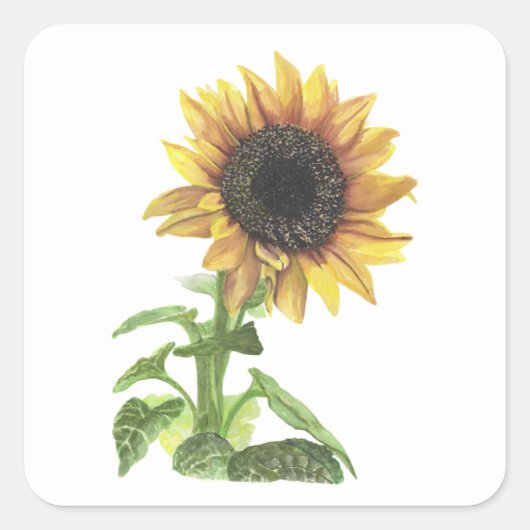 ひまわり スクエアシール (正面)