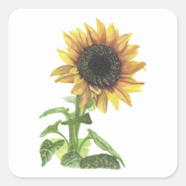 ひまわり スクエアシール