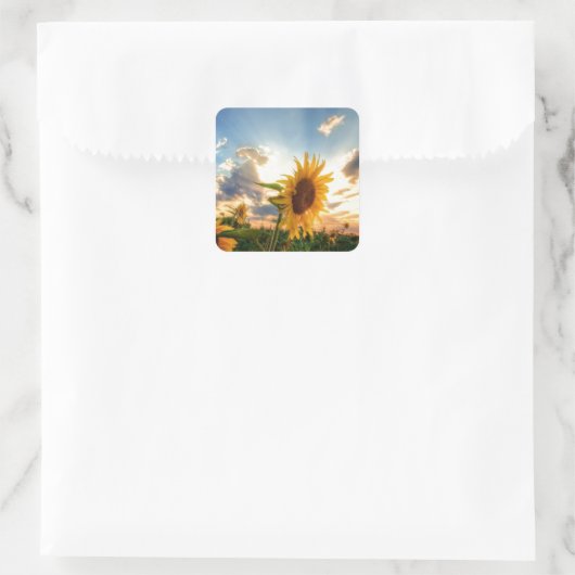 ひまわり スクエアシール (バッグ)