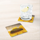 ひまわり スクエアペーパーコースター (インサイチュ)