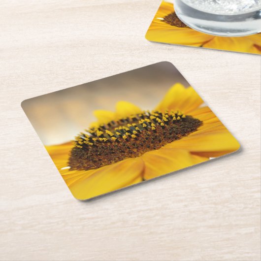 ひまわり スクエアペーパーコースター (アングル)