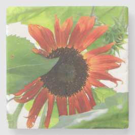 ひまわり ストーンコースター