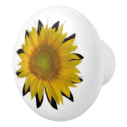 ひまわり セラミックノブ (右)