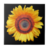 ひまわり タイル (正面)