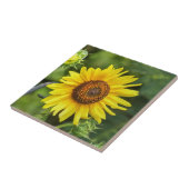 ひまわり タイル (側面)