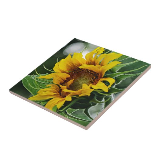 ひまわり タイル (側面)