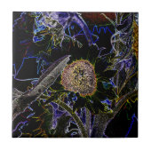 ひまわり タイル (正面)