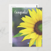 ひまわり デジタル水彩 2 ポストカード (正面/裏面)