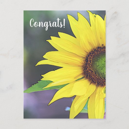 ひまわり デジタル ウォーターカラー 2 ポストカード (正面)