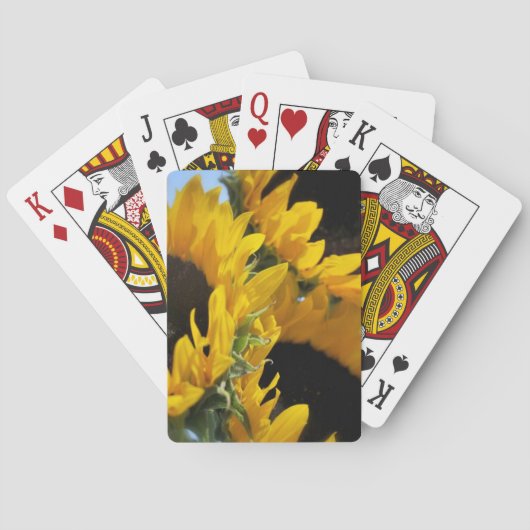 ひまわり トランプ (裏面)