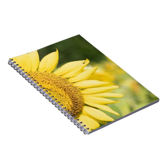 ひまわり ノートブック (右側)