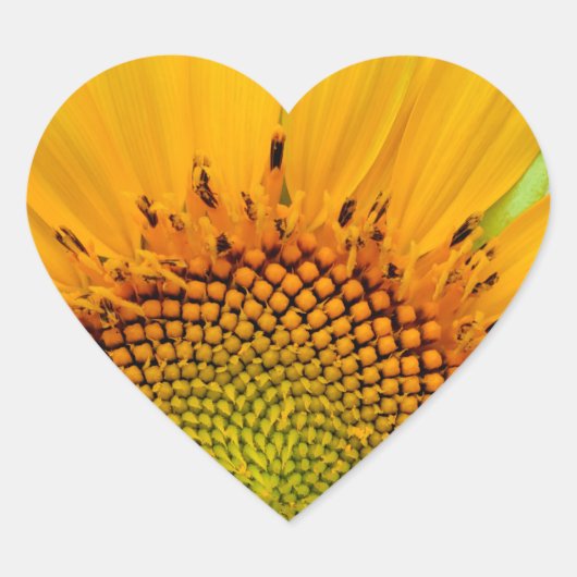 ひまわり ハートシール (正面)