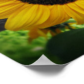 ひまわり&ビーのポスターアート ポスター (角)