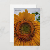 ひまわり&ビー ノートカード (正面/裏面)