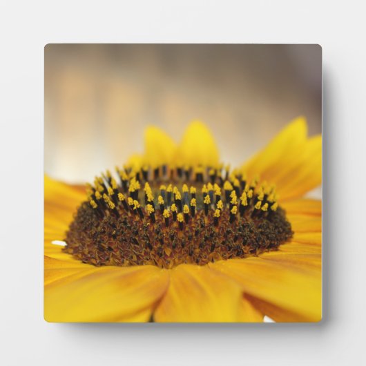 ひまわり フォトプラーク (正面)