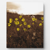 ひまわり フォトプラーク (正面)