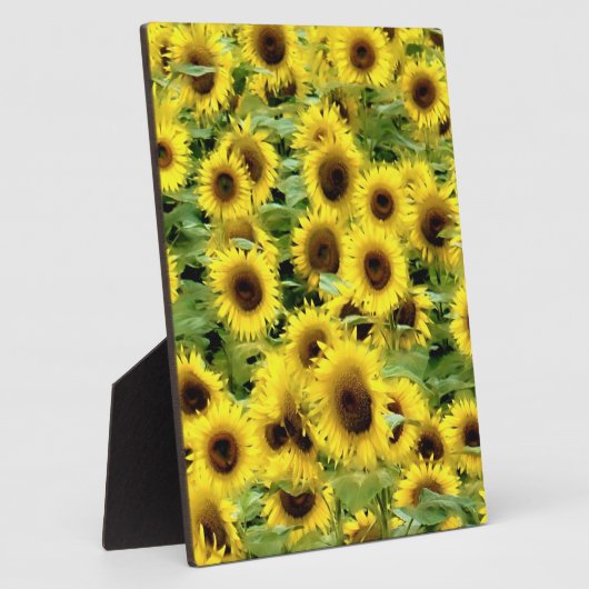 ひまわり フォトプラーク (側面)