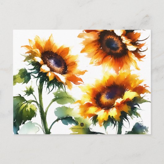 ひまわり ブライダルシャワーの招待状 案内ポストカード (裏面)