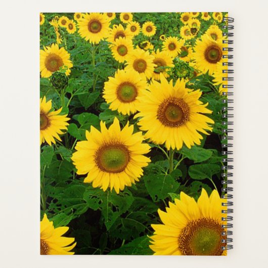 ひまわり プランナー手帳 (裏面)