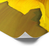 ひまわり~プリント ポスター (角)