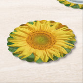 ひまわり ペーパーコースター (アングル)