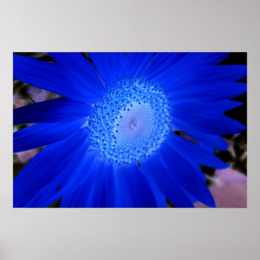 ひまわり ポスター (正面)